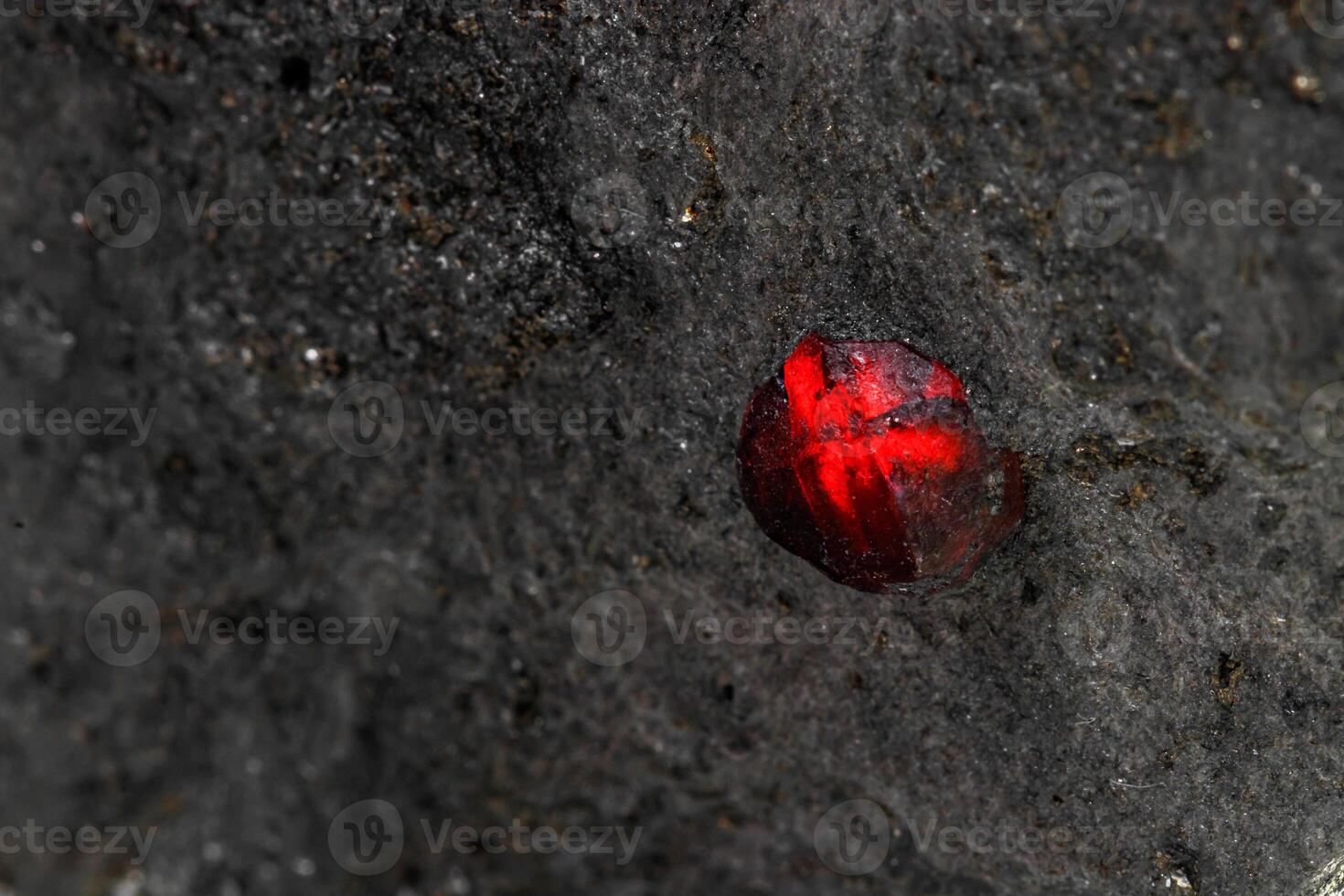 Macro mineral stone garnet in the rock on a white background photo