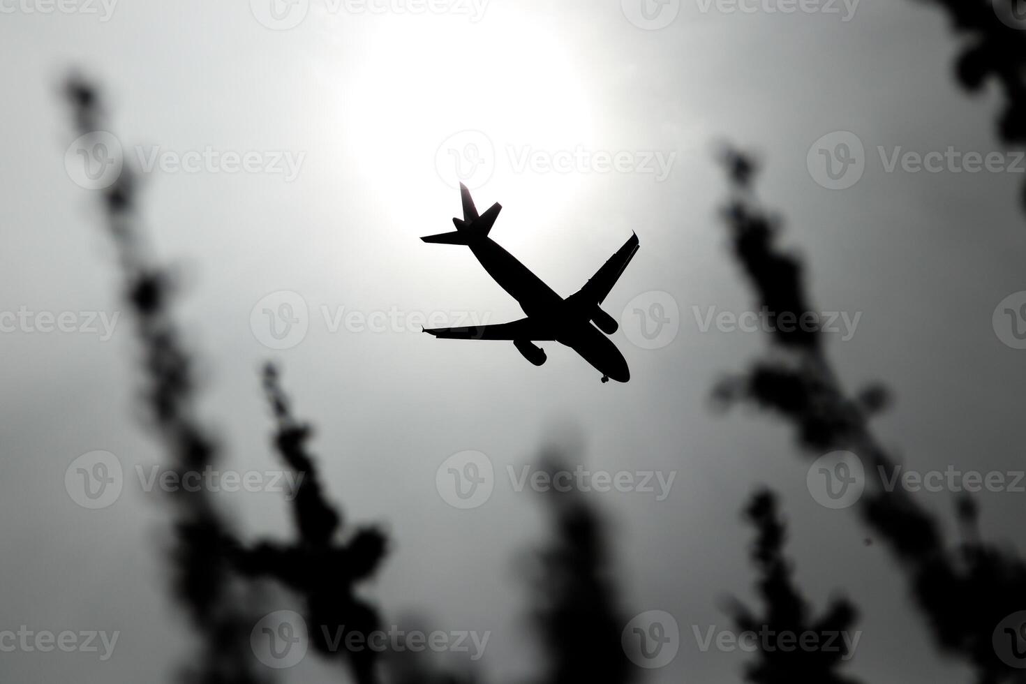 the plane is flying in the sky photo