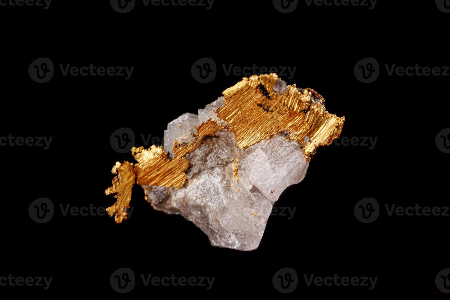 macro mineral stone gold in the rock on a black background photo