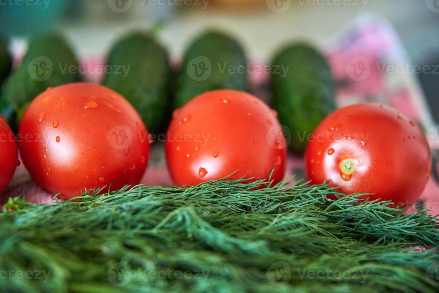 Tomatoes, cucumbers and green dill close-up, fresh harvest, preparation for salad, diet food photo