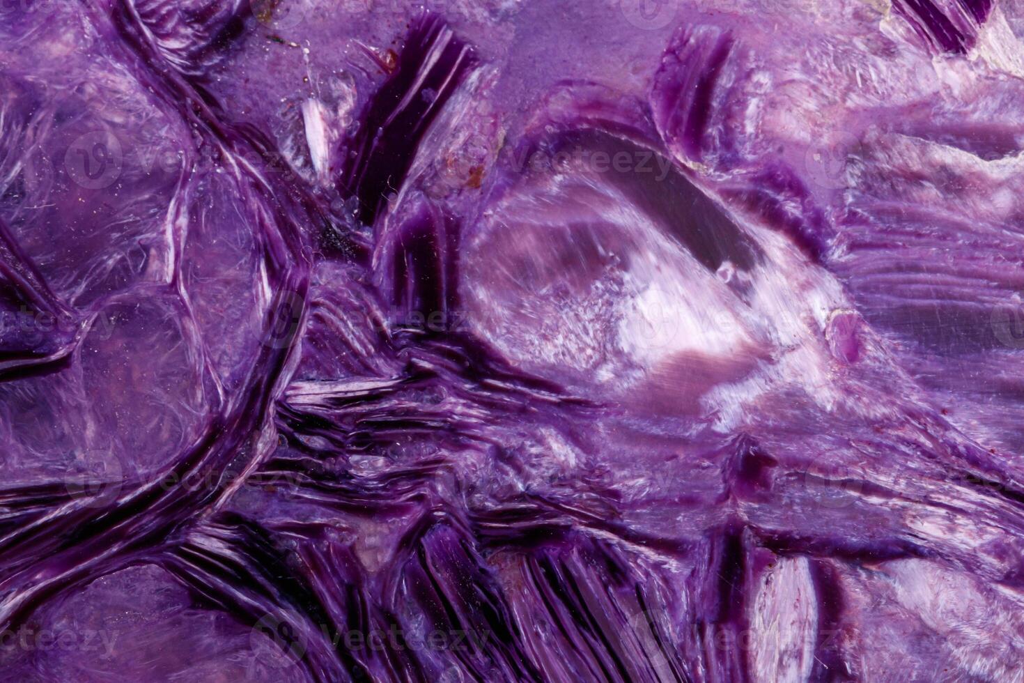 Macro stone mineral Charoite on a white background photo