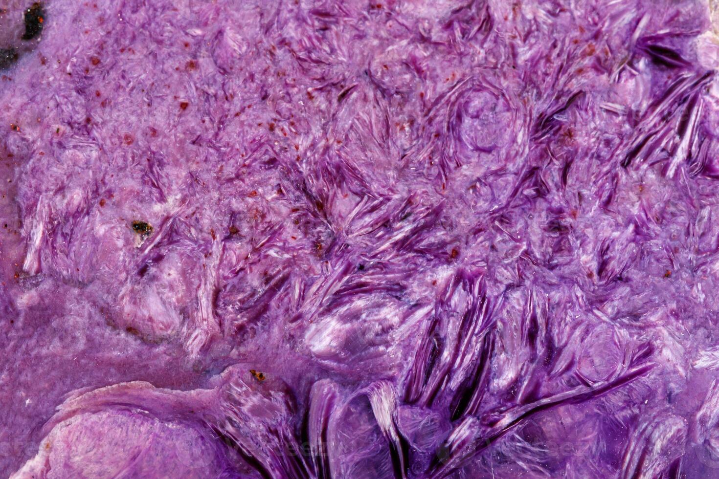 Macro stone mineral Charoite on a white background photo