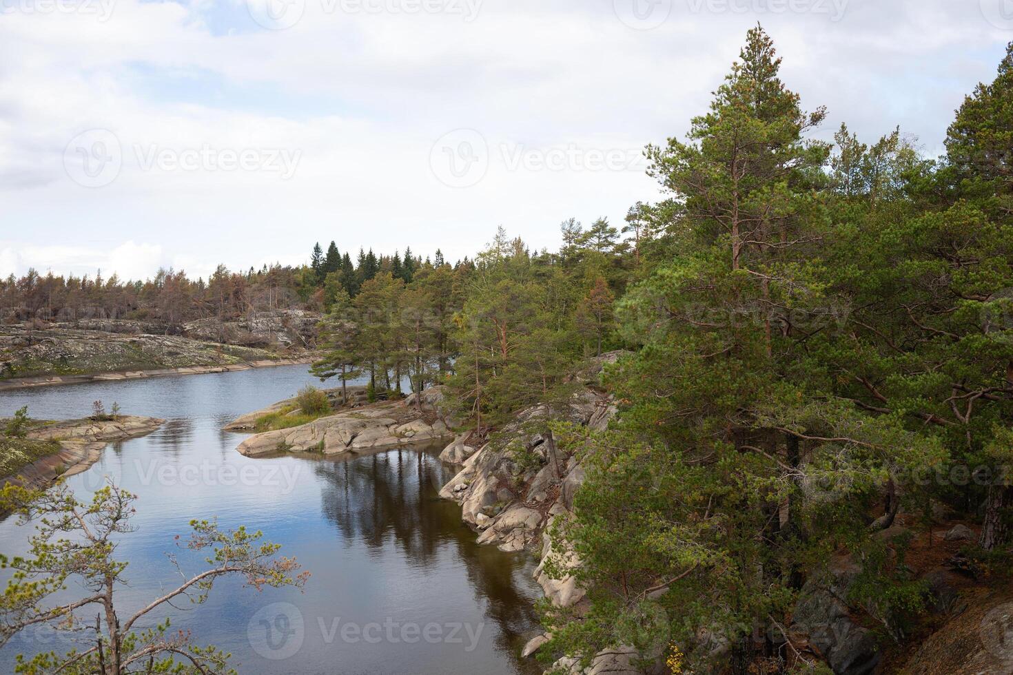 beautiful autumn landscape. lake view surrounded by forest photo
