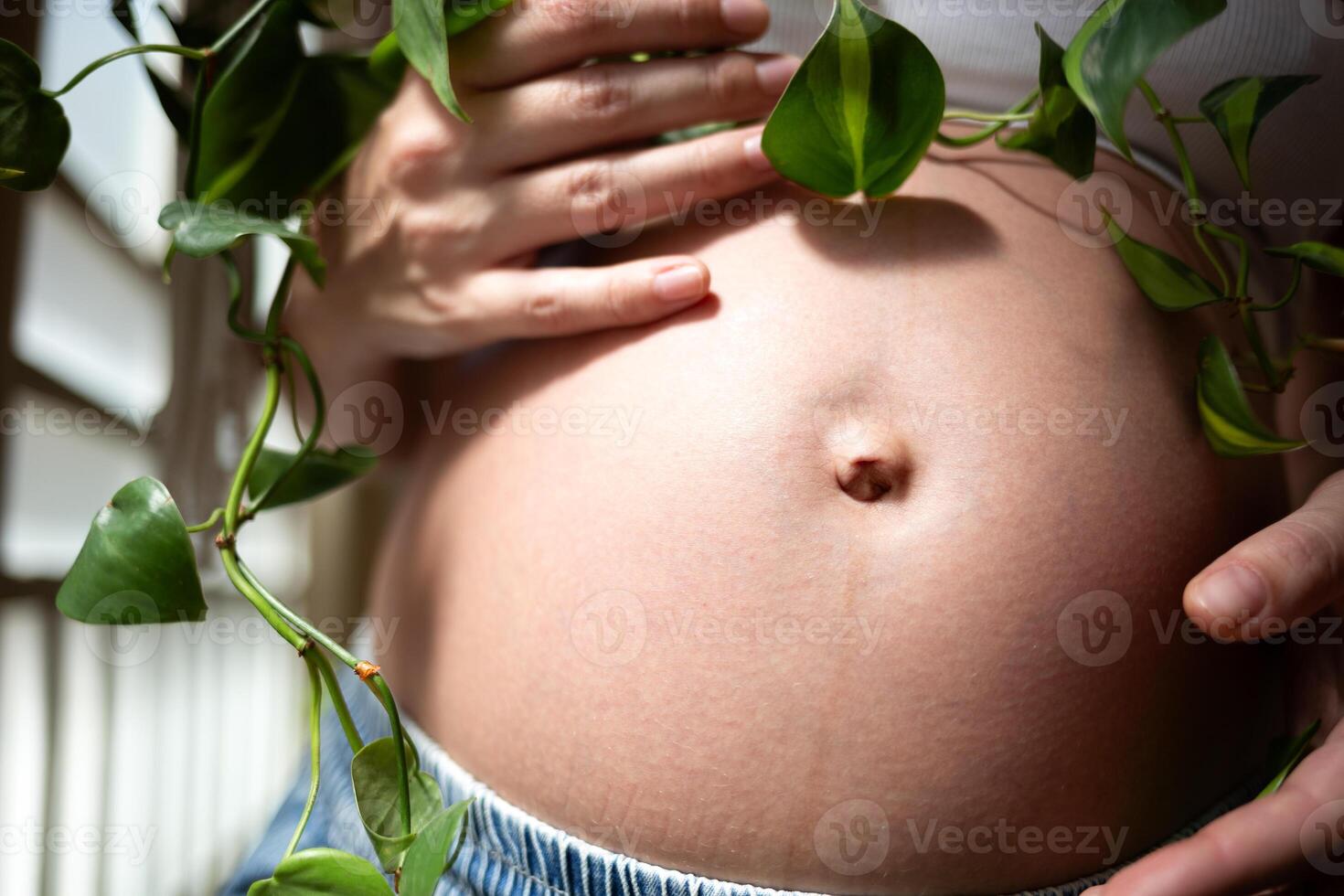 A beautiful pregnant belly surrounded by green leaves, symbolizing new life and growth photo
