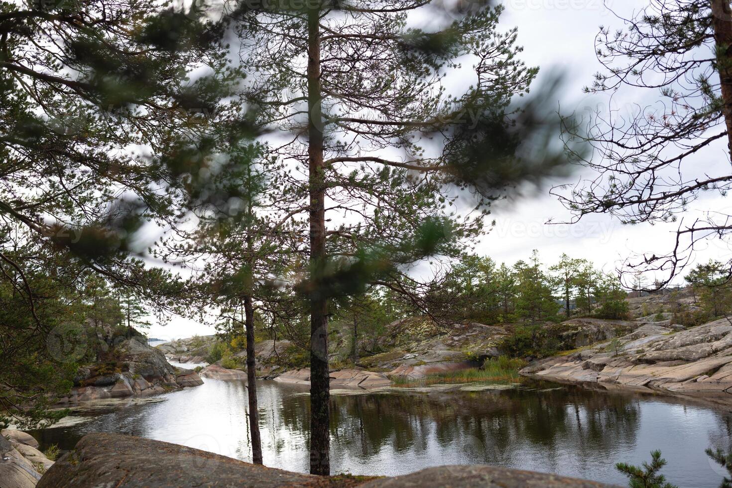 young beautiful girl in the autumn forest against the backdrop of a large lake photo