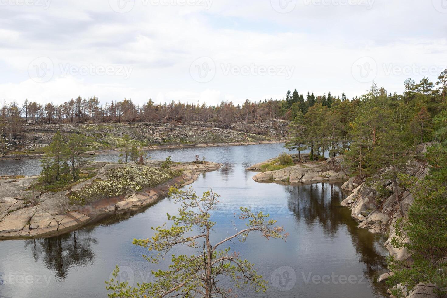 young beautiful girl in the autumn forest against the backdrop of a large lake photo