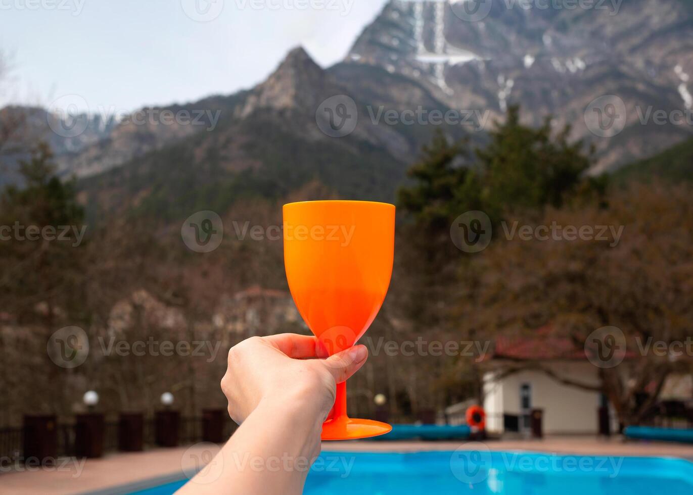 large outdoor swimming pool overlooking the snow-capped mountains photo