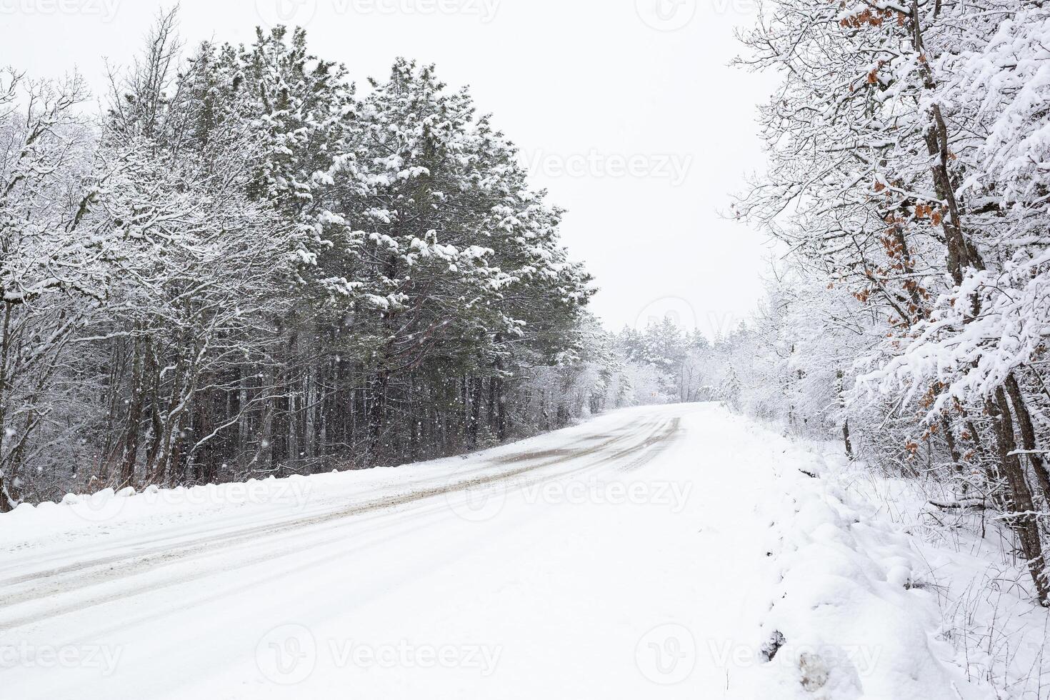 beautiful snow landscape car road through the forest photo