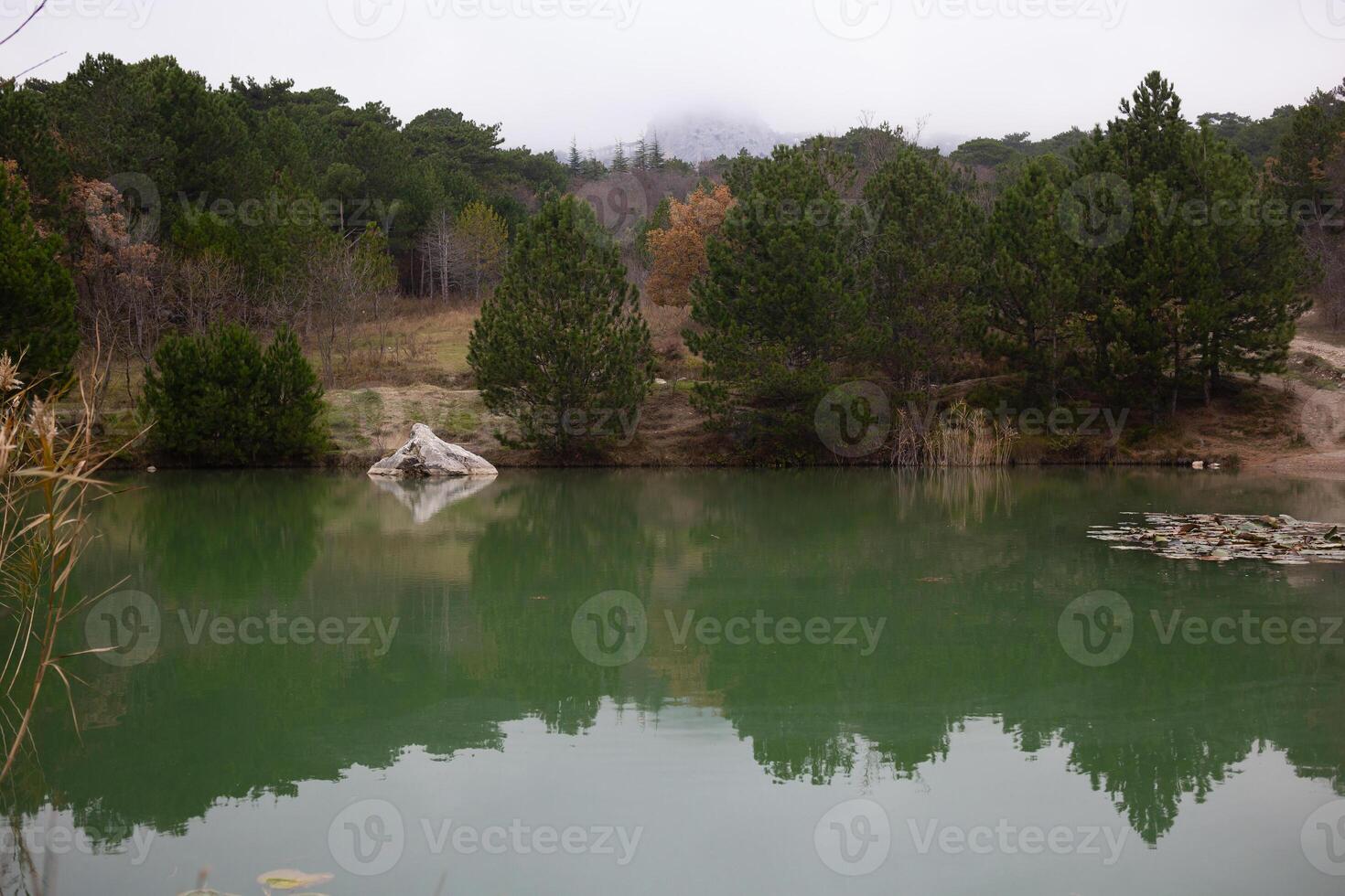 view of a mountain lake surrounded by bushes and trees in autumn photo