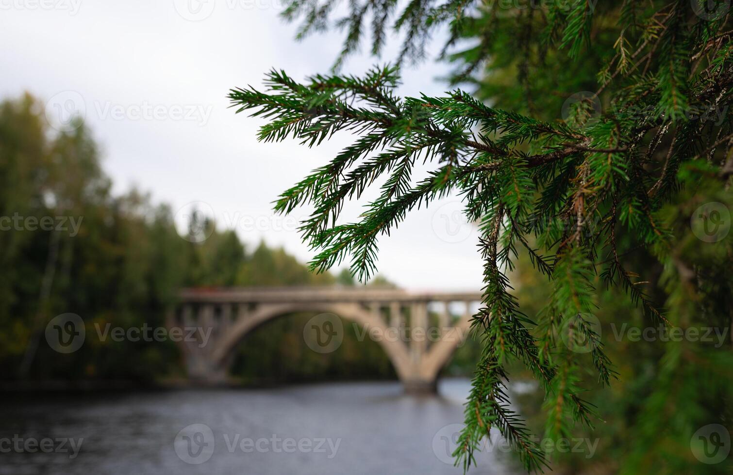 arched bridge over a wide river surrounded by autumn forest photo