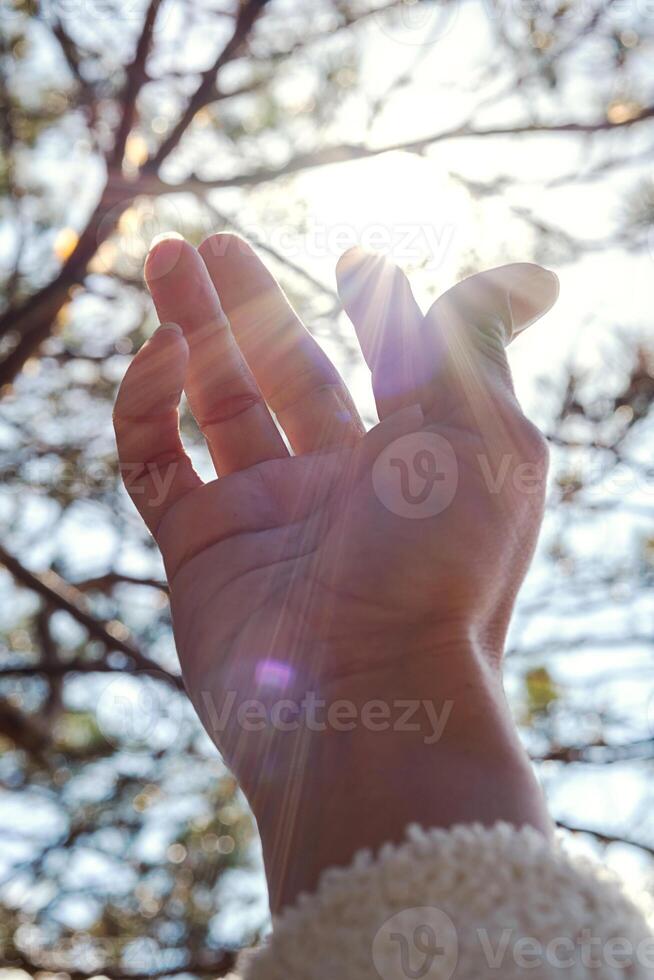 Hand letting the rays of sun pass through her fingers. photo