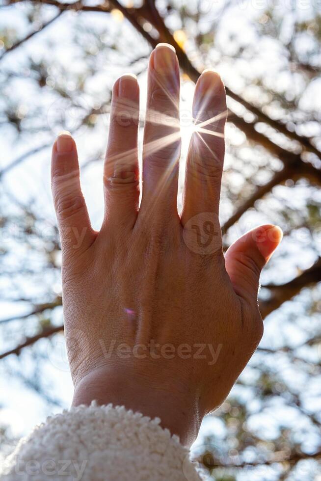 Hand letting the rays of sun pass through her fingers. photo
