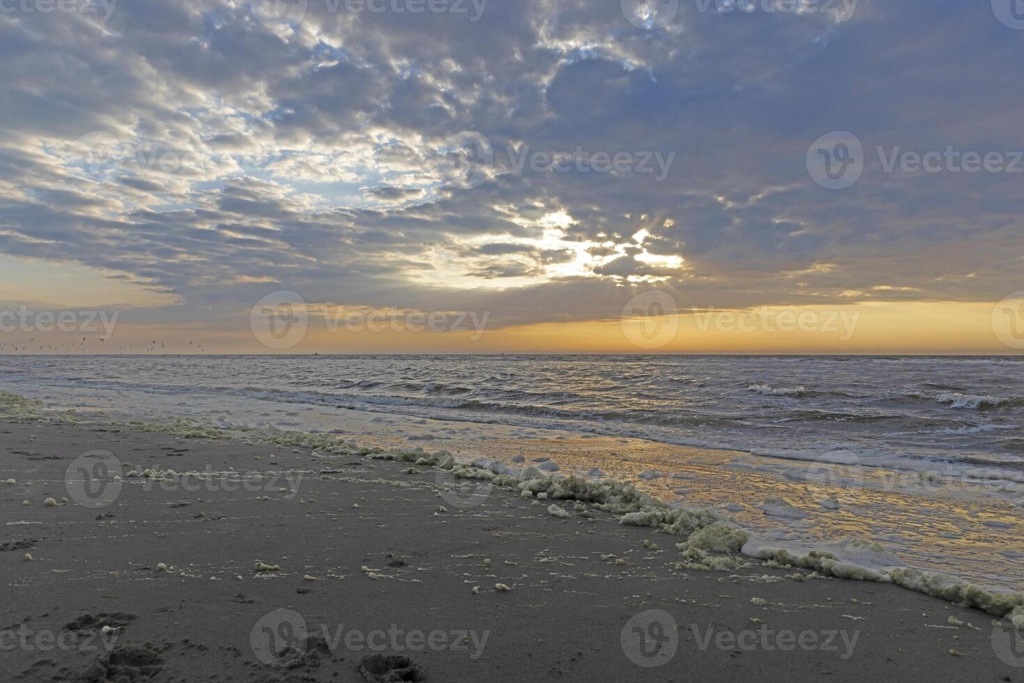 Panoramic picture over the beach of Ouddorp in Holland in the evening during sunset photo