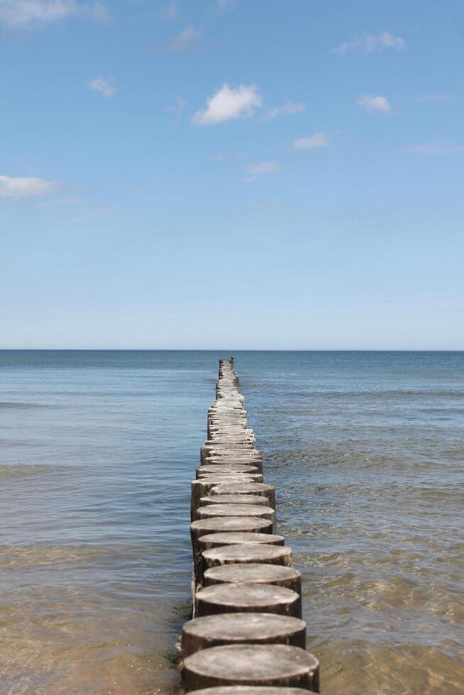 seaside at springtime photo