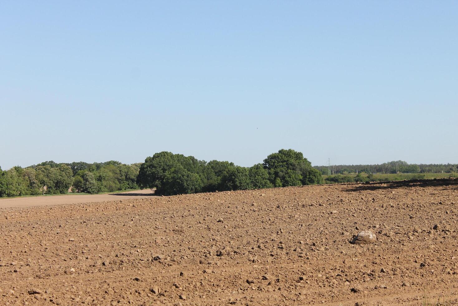 photo of spring field