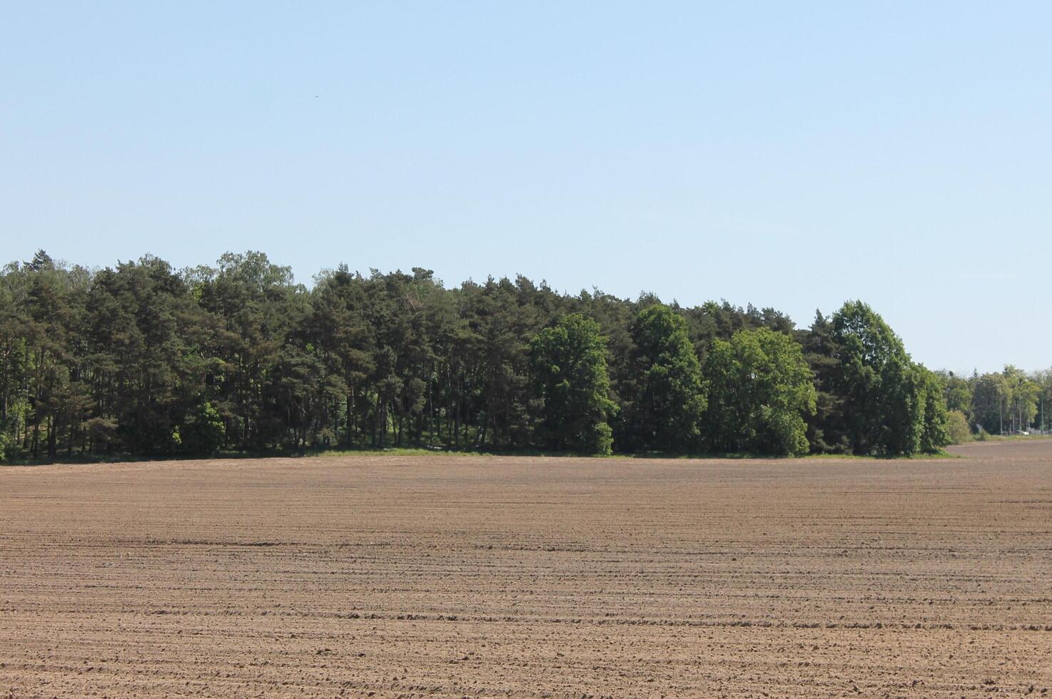 photo of spring field