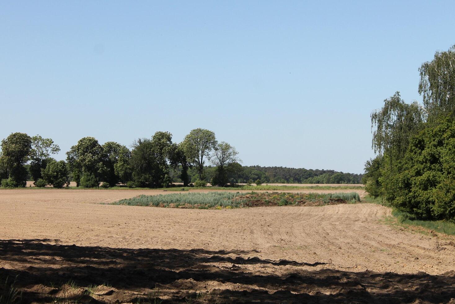 photo of spring field