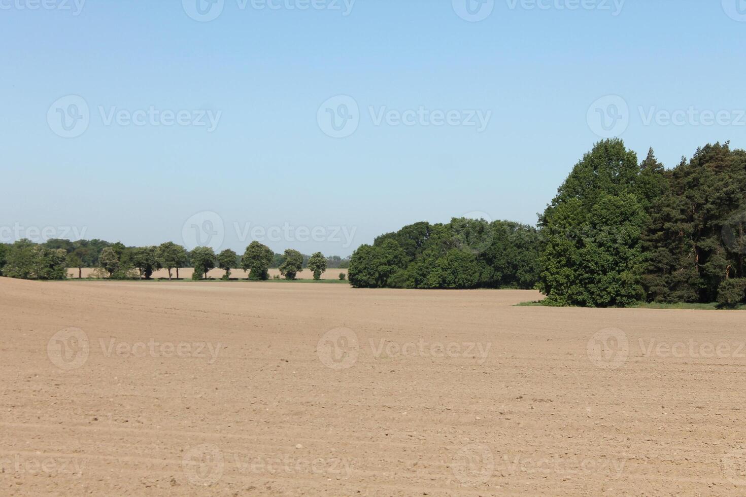 photo of a spring field