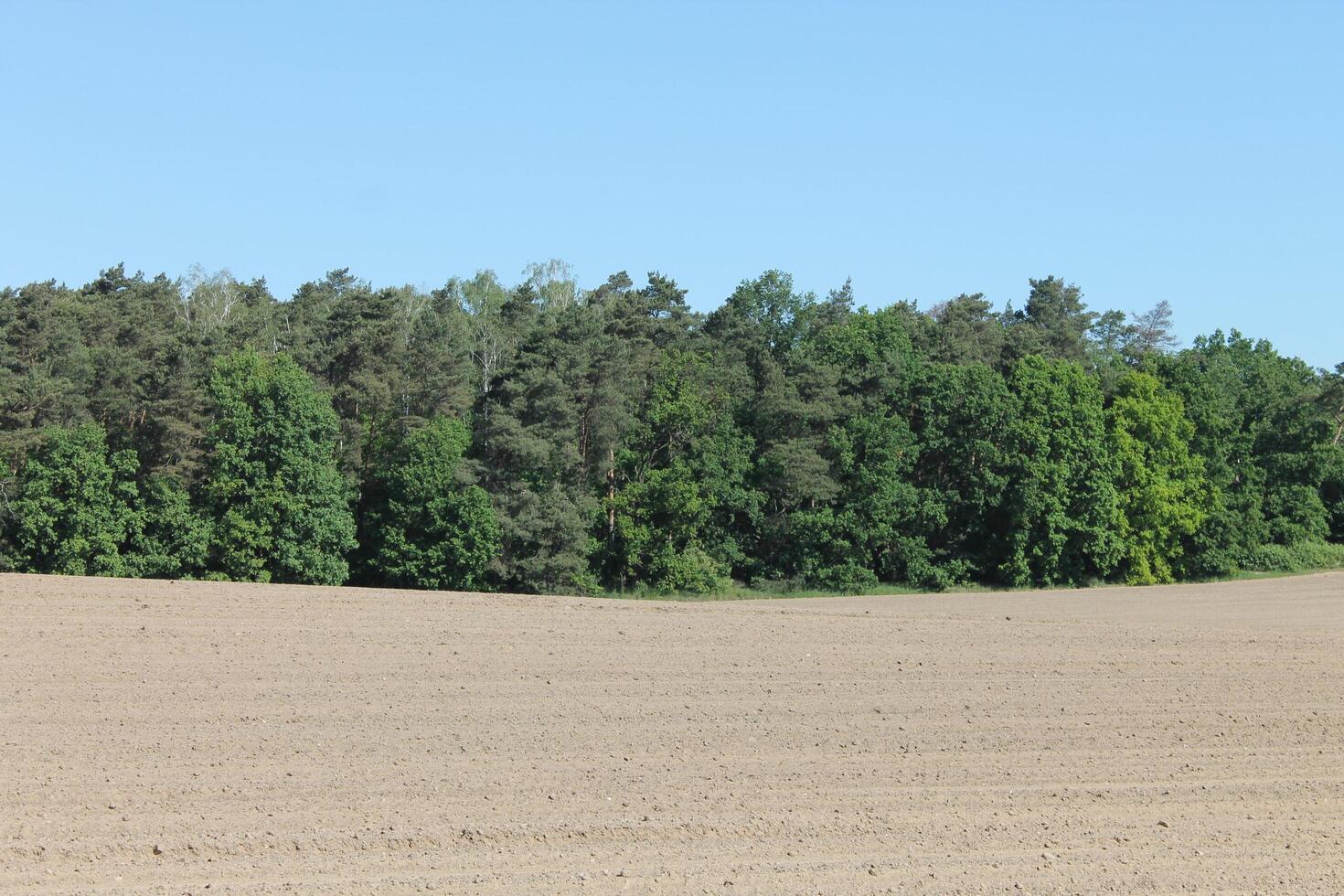 photo of spring field