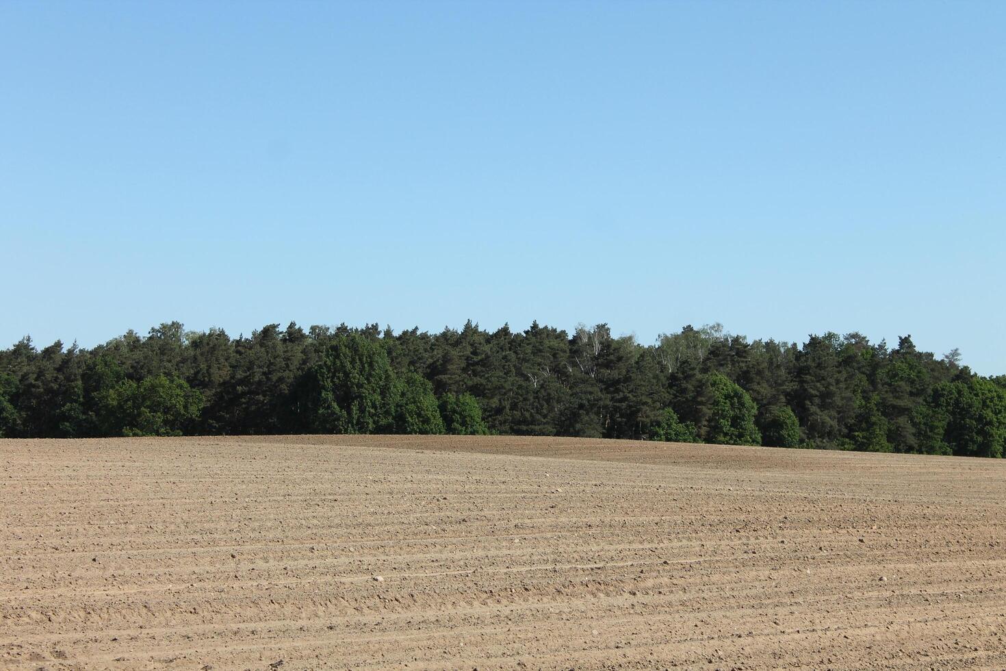 photo of spring field