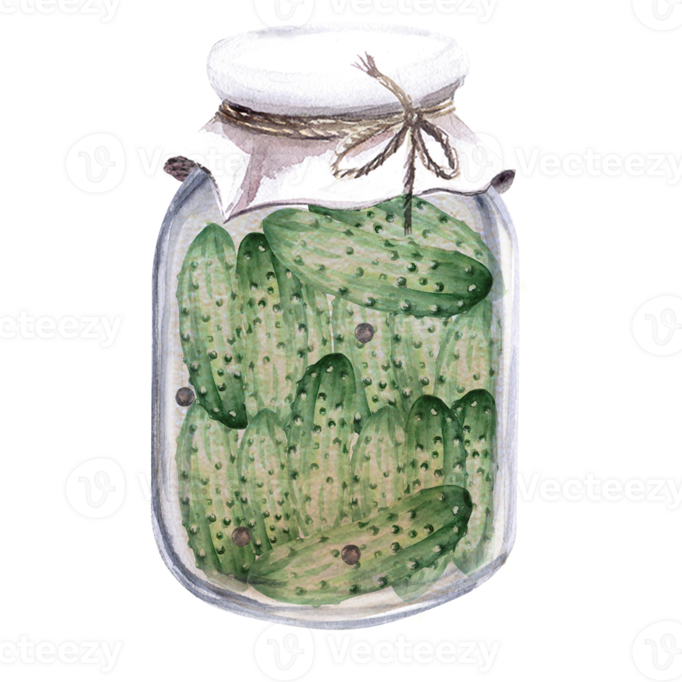 Jar of pickles. Hand drawn watercolor illustration isolated . png