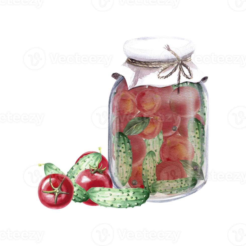 Jar of canned cucumbers and tomatoes in watercolor illustration . Hand drawn illustration of pickled vegetables for cookbooks, recipes and natural products png