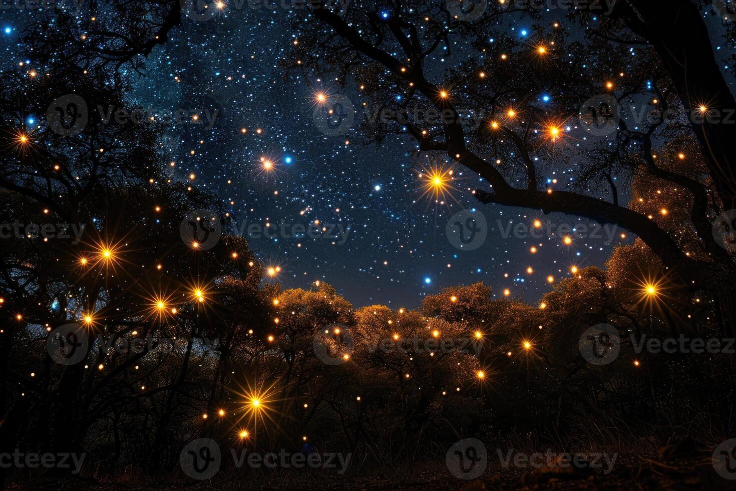 shining stars in the sky professional photography photo
