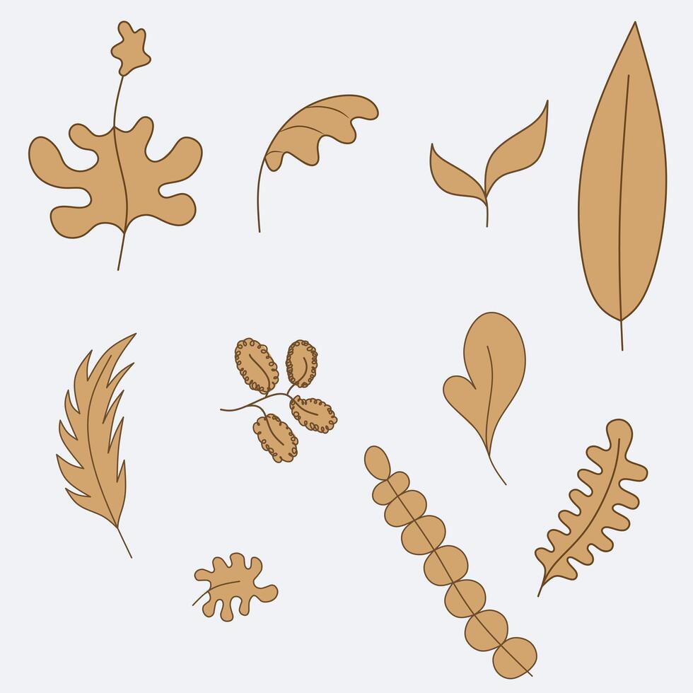 Cartoon set of brown tropical leaves. design elements on white background for print and template. vector