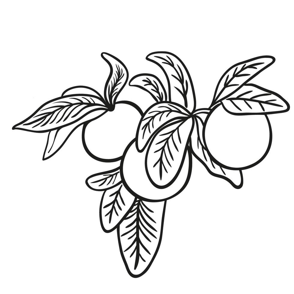 plants flat illustration vector