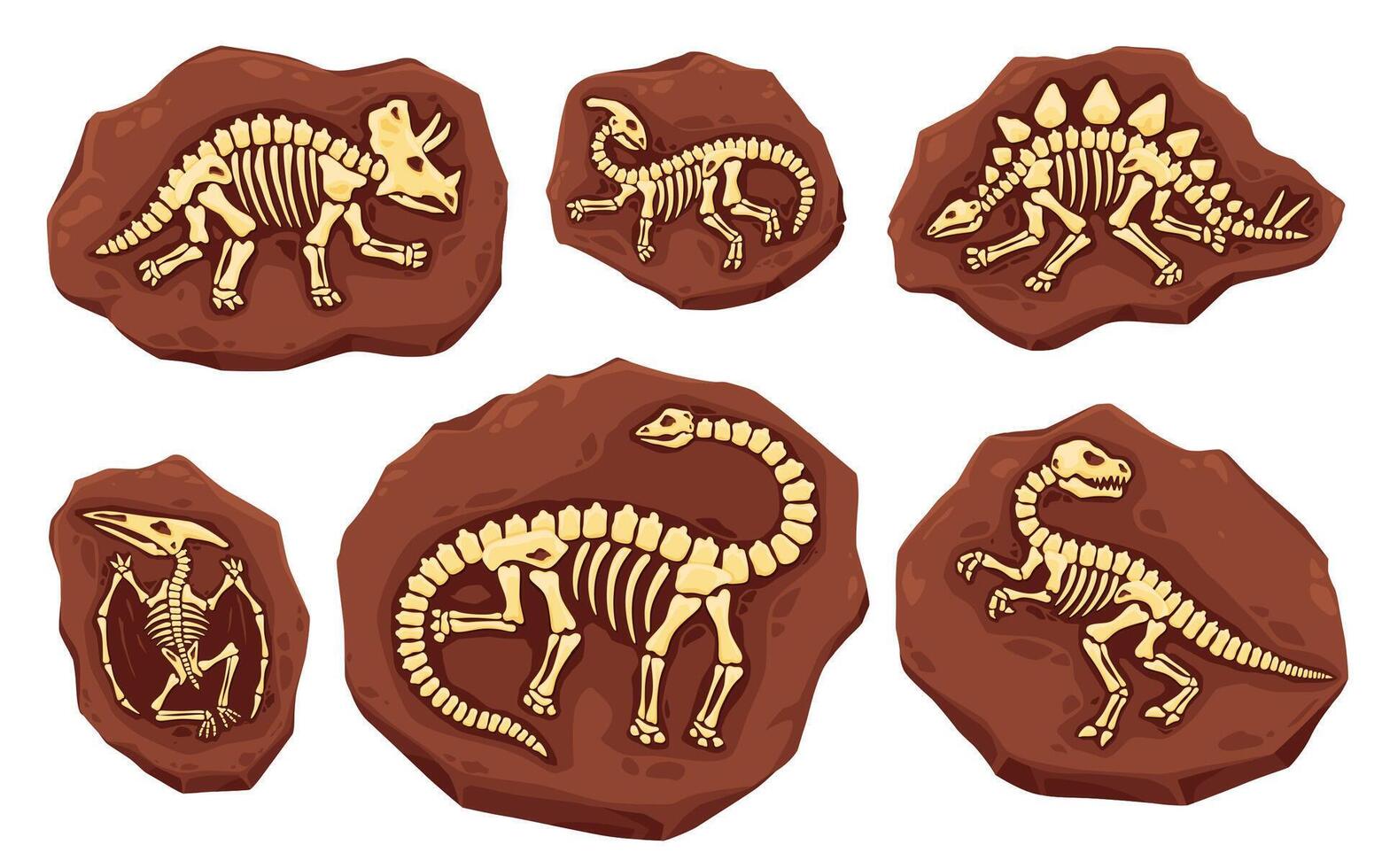 Dino fossil skeletons, dinosaur imprints in stone vector