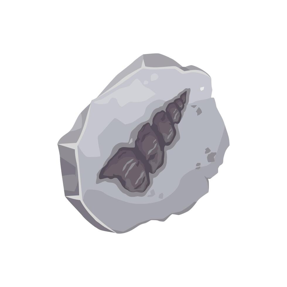 Seashell fossil, ancient sea animal stone imprint vector