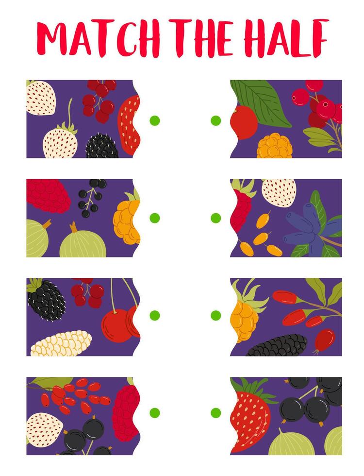 Match the half of forest and garden ripe berries vector