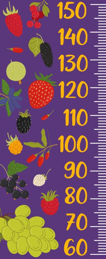 Kids height chart ruler, forest and garden berries vector