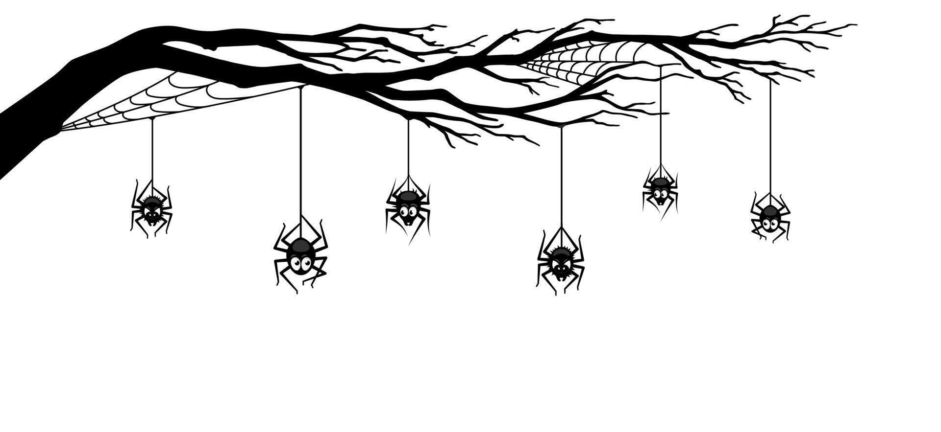 Halloween spider border with tree branch and webs vector