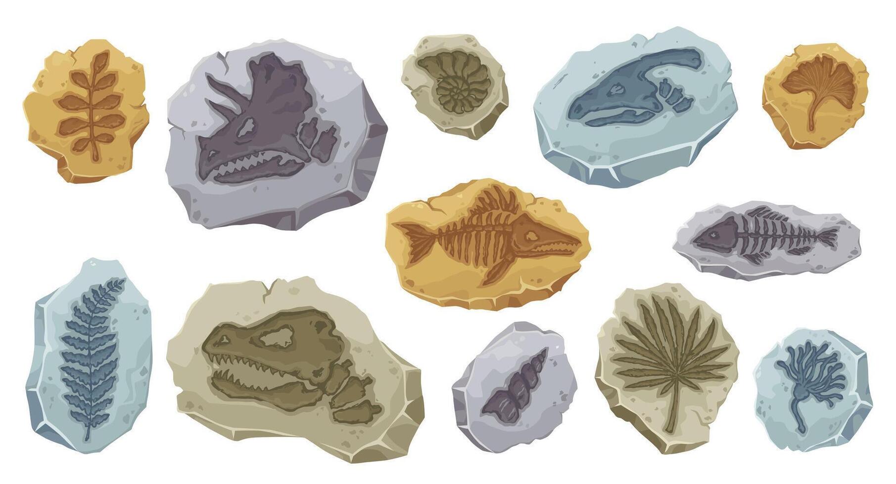 Dinosaur fossil ancient fish skeleton, stone plant vector