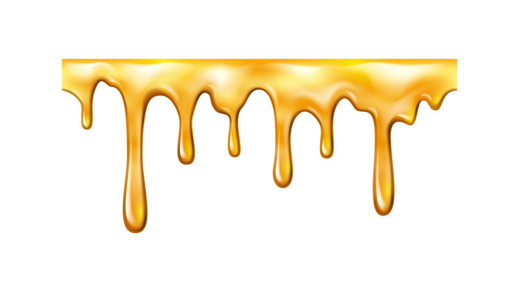 Realistic dripping or melting honey, sweet liquid vector