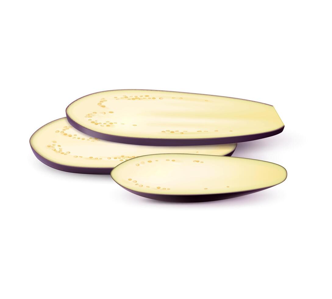 Realistic raw isolated eggplant vegetable slices vector
