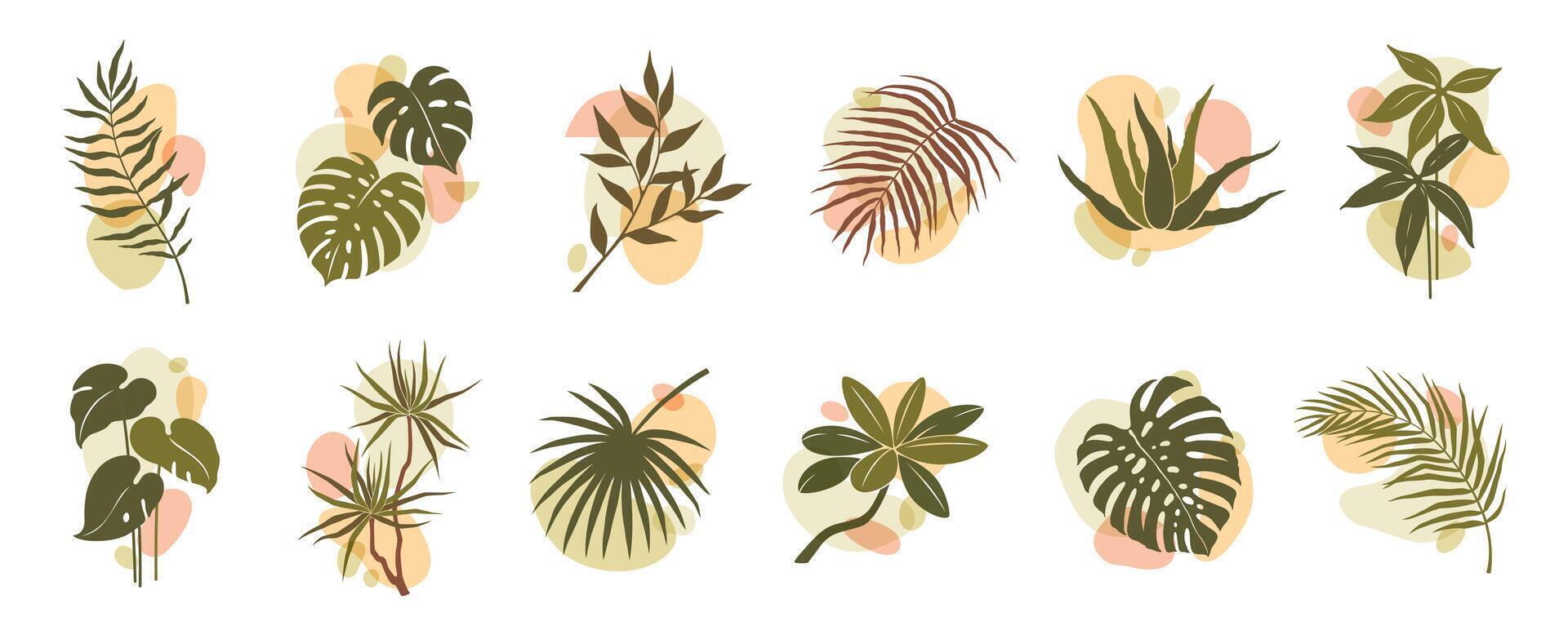 Abstract organic boho leaf and plant shapes set vector