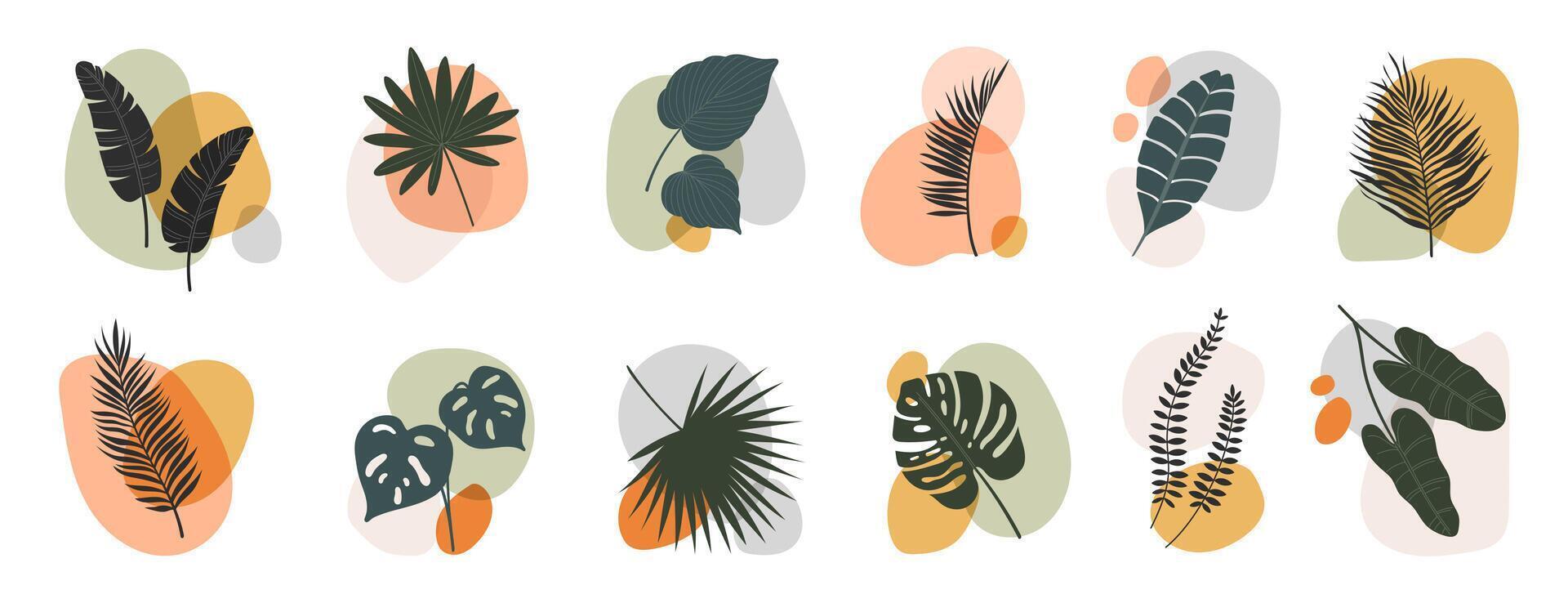 Abstract boho leaf and plant, tropical foliage vector