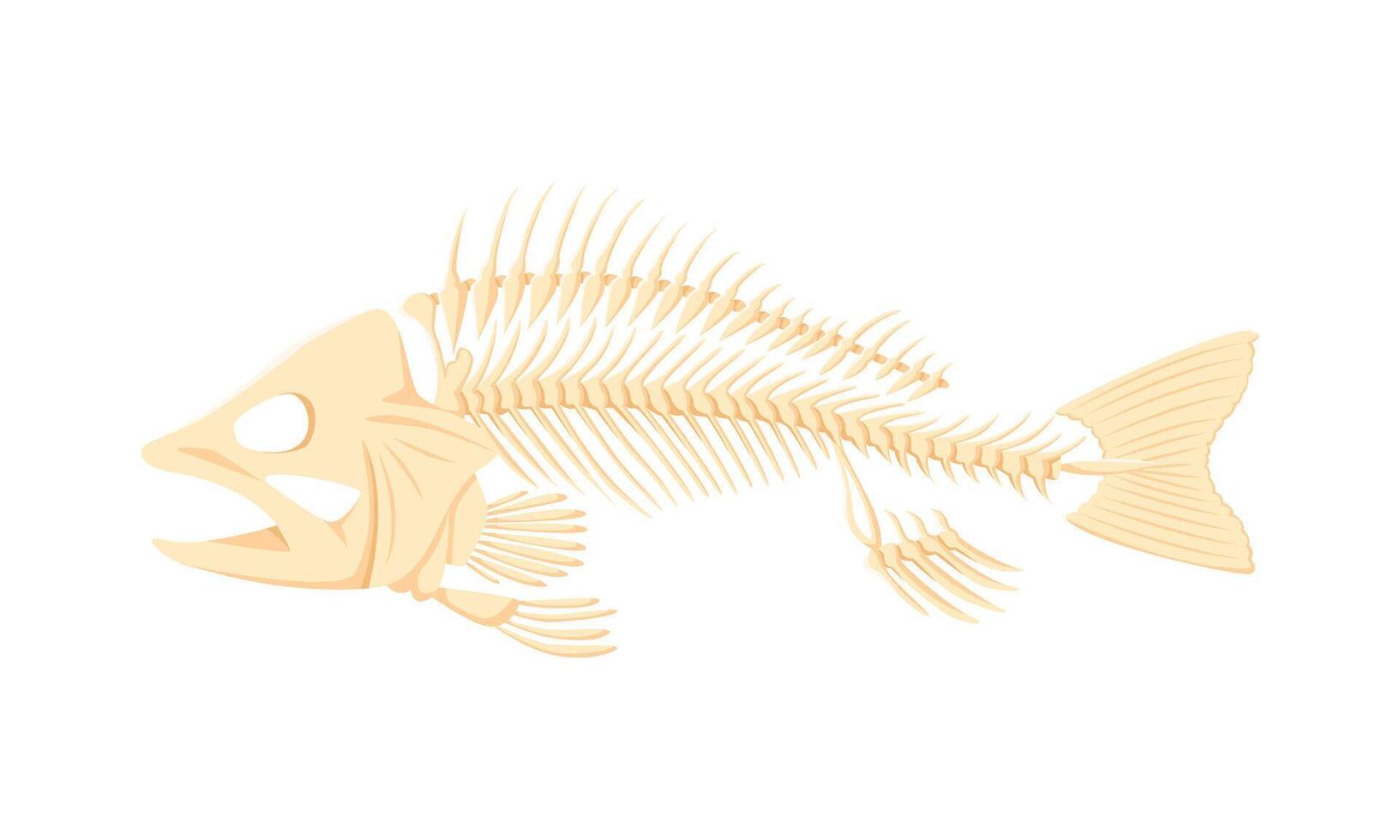 Cartoon fish bones, isolated skeleton vector