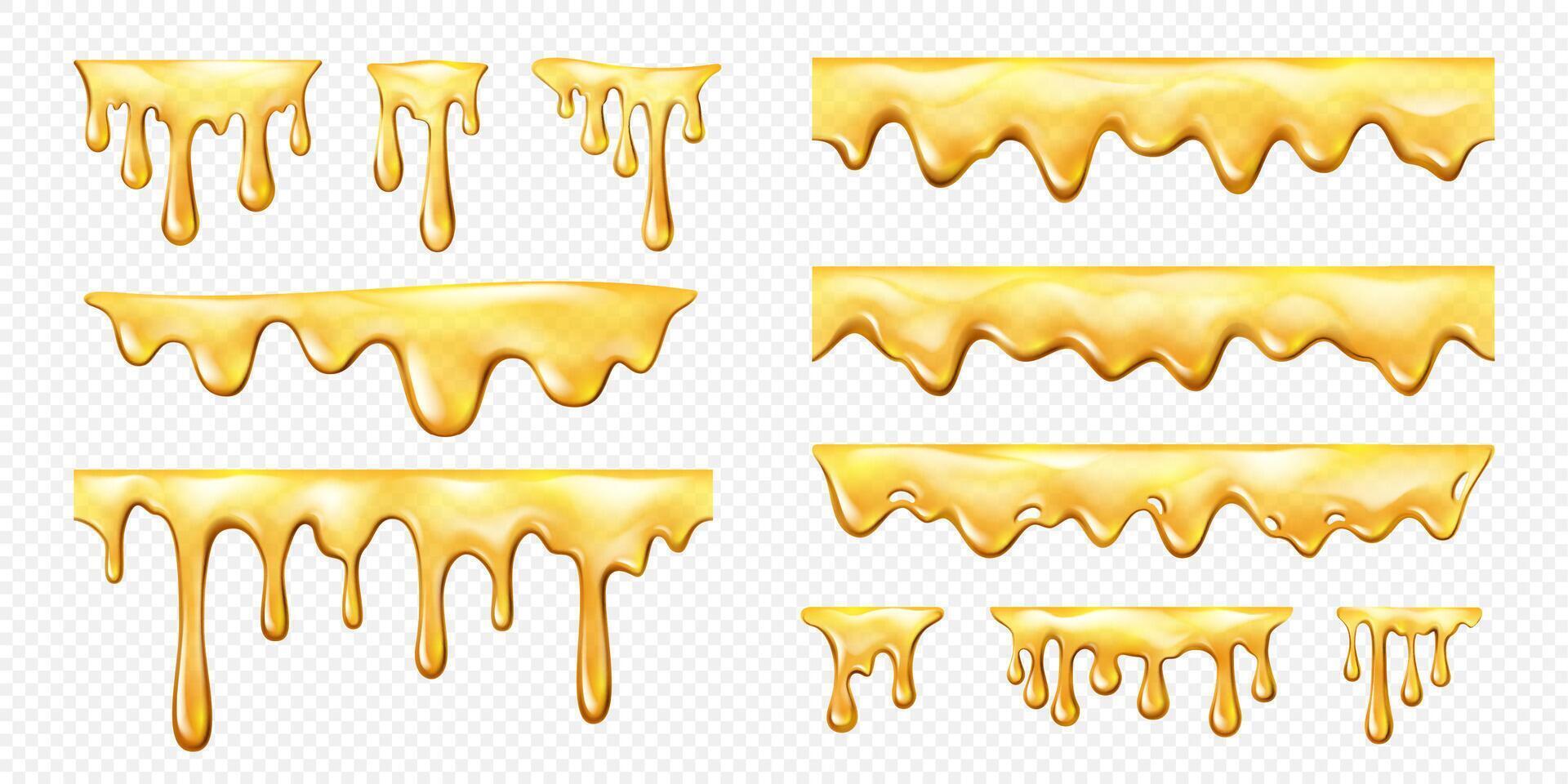 Realistic sweet yellow honey melt drip line vector