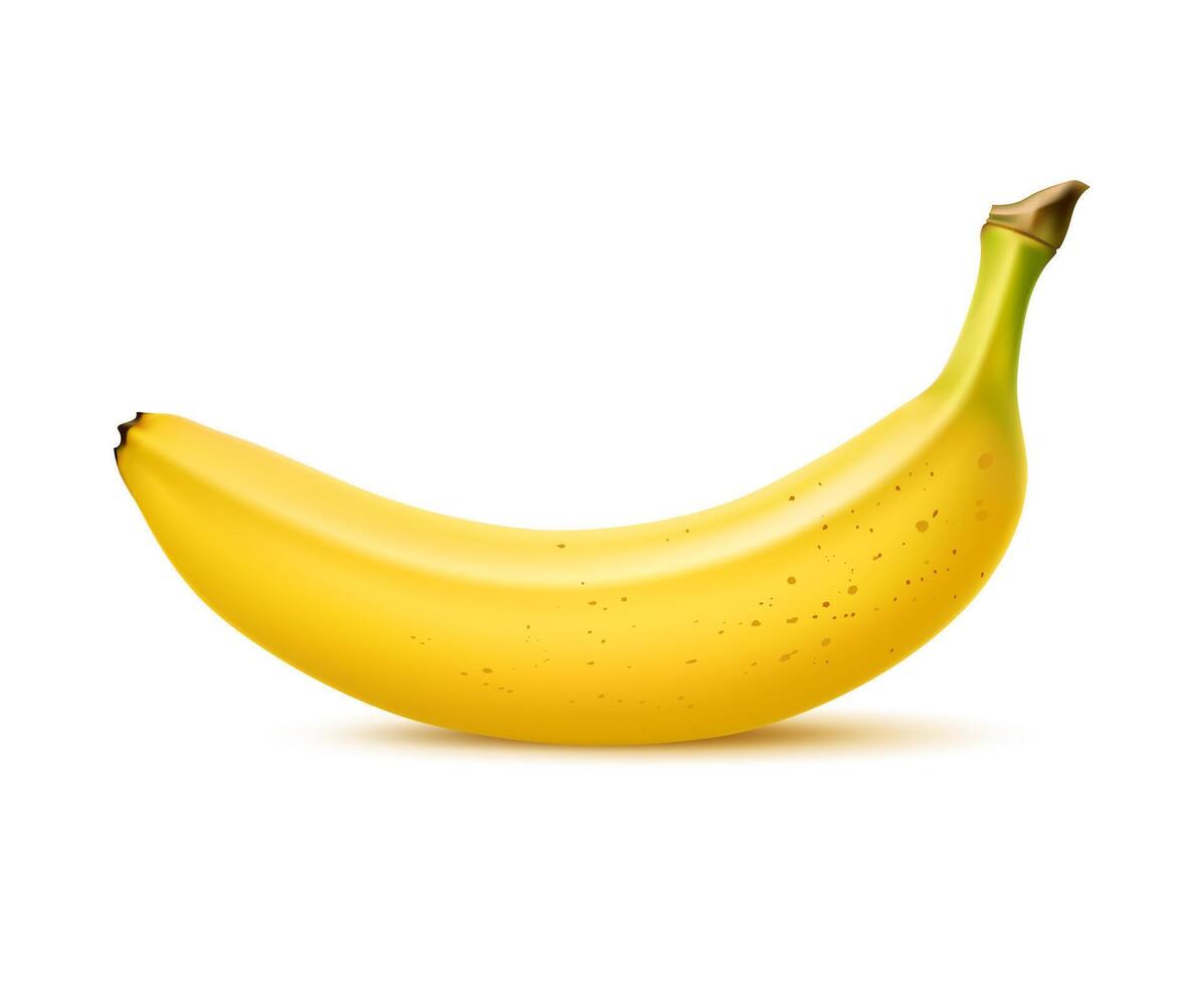 Realistic whole ripe banana fruit, tropical food vector