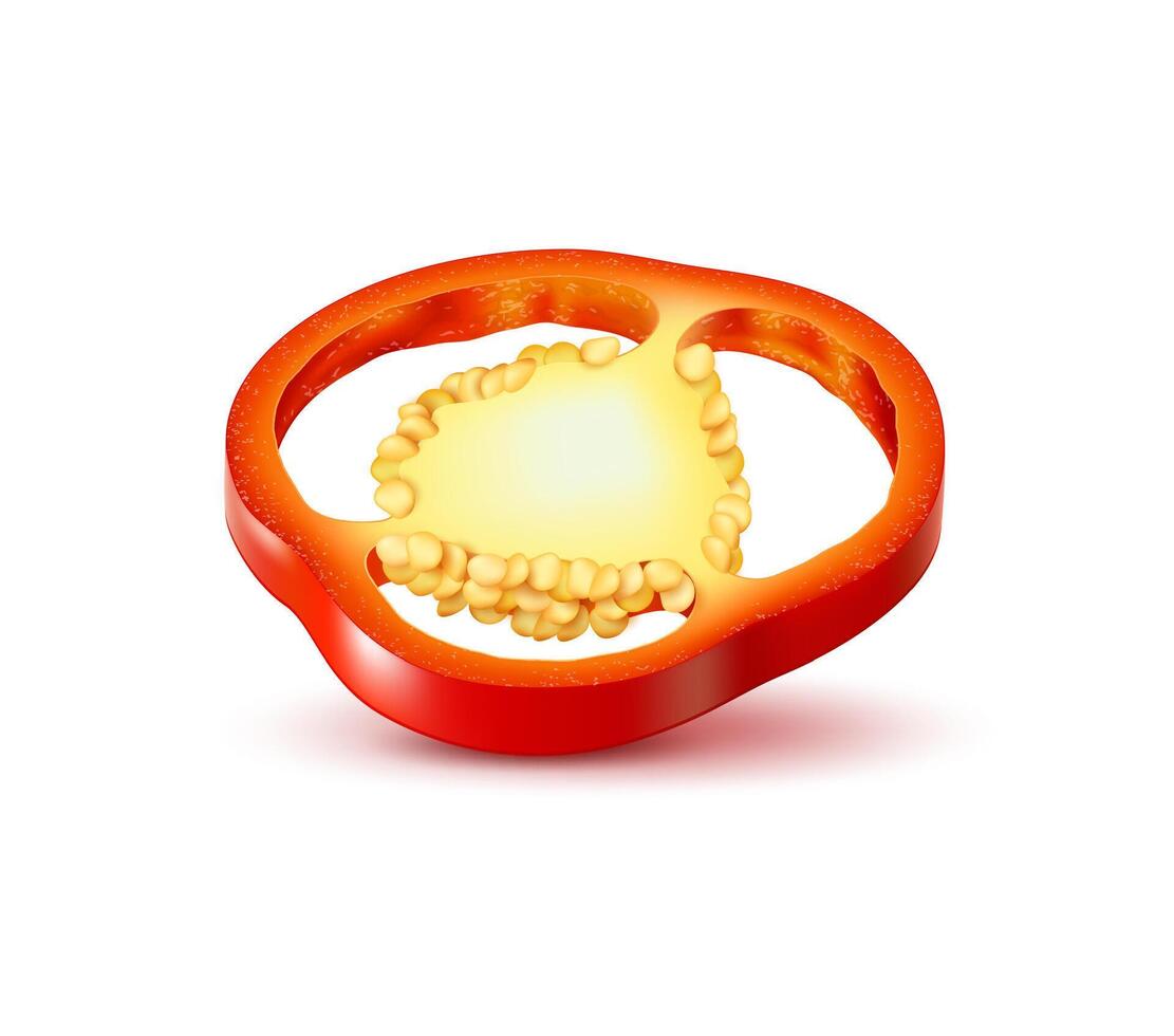 Realistic ripe red bell pepper slice, paprika ring vector