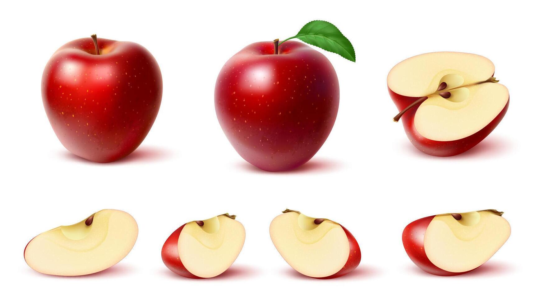 Realistic ripe red apple fruit, whole and slices vector