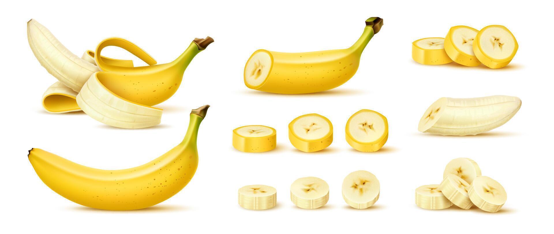 Realistic banana fruit. Whole, half and cut slices vector