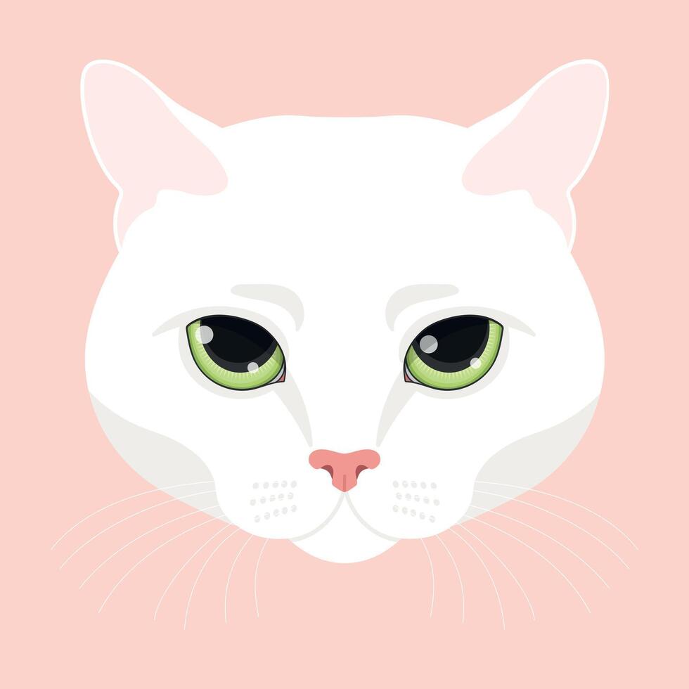 Cat head on pink background. Feline face. White cat with green eyes. illustration vector