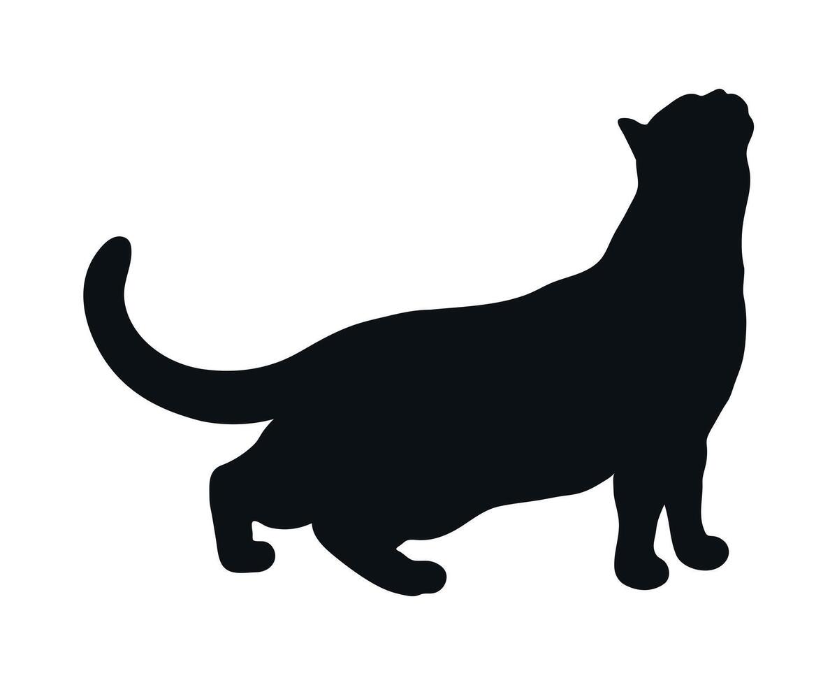 Standing cat silhouette isolated on white background. Cat reaches up. Feline pose. illustration vector