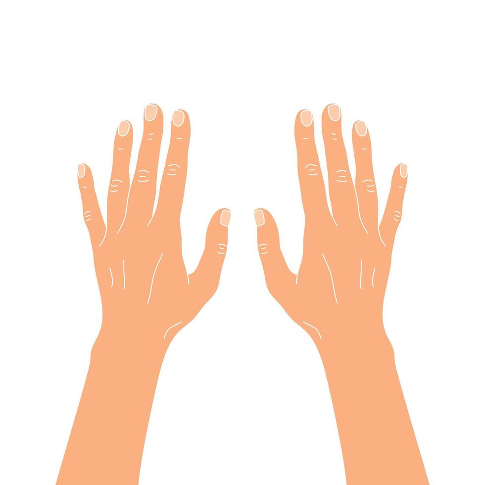 Arms extended forward. Back of hand. illustration vector