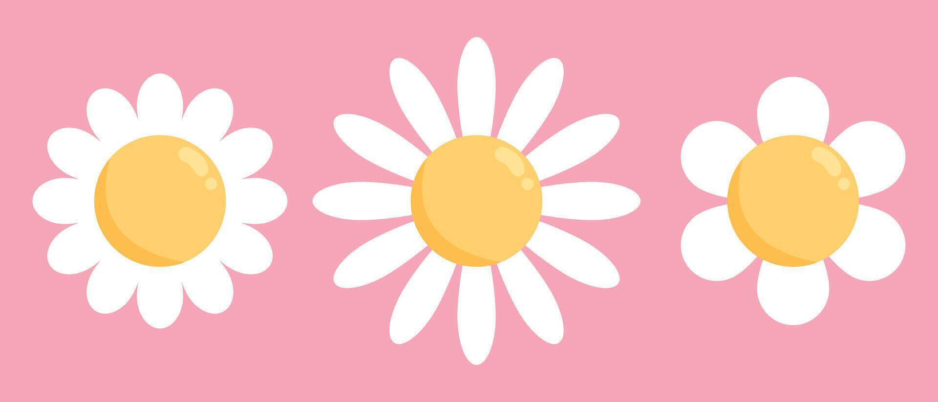 Cute chamomile flower icons set on pink background. Chamomile or daisy with white petals. Plant flower head sign symbol. illustration vector