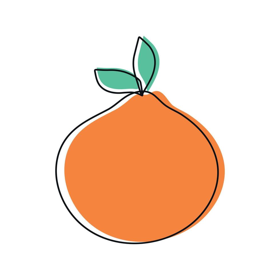Hand drawn doodle orange on white background. Fruit outline. illustration vector